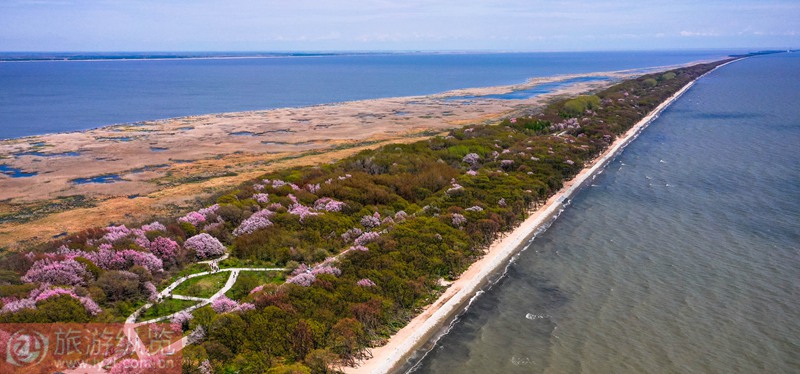 �d�P������|��߅��ľG��ʯ  ׫�����zӰ/���S��